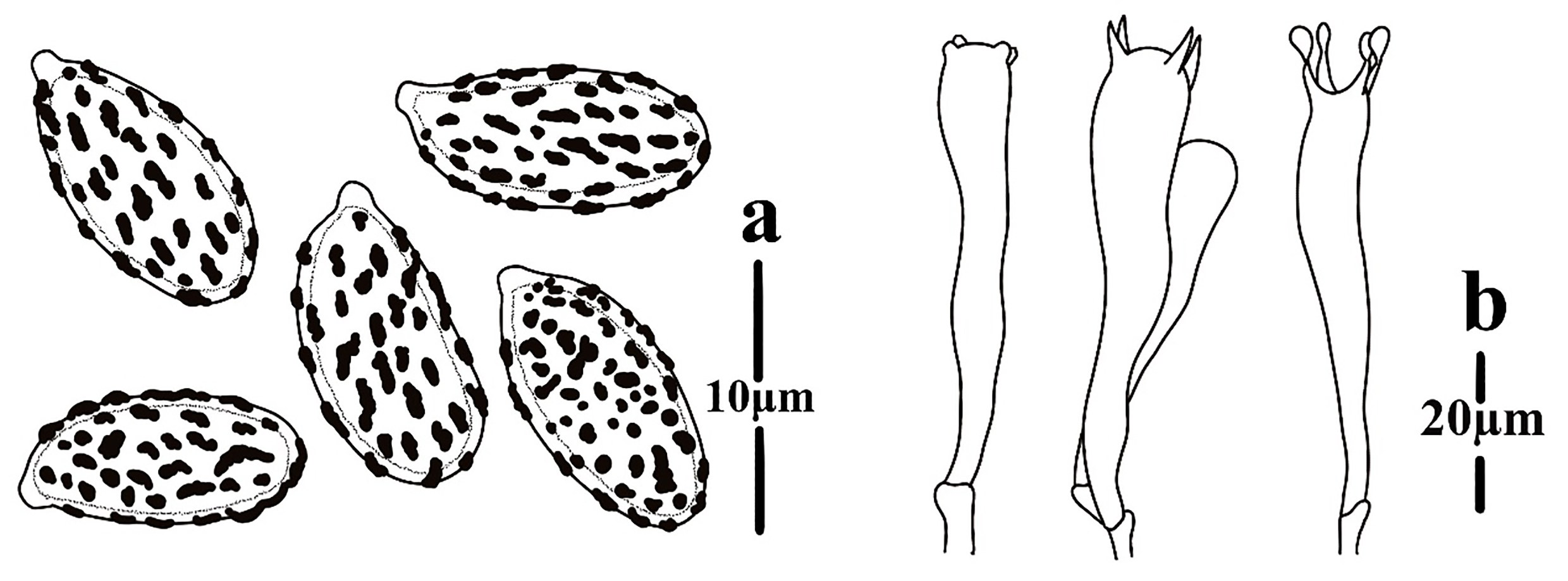 Figure 66